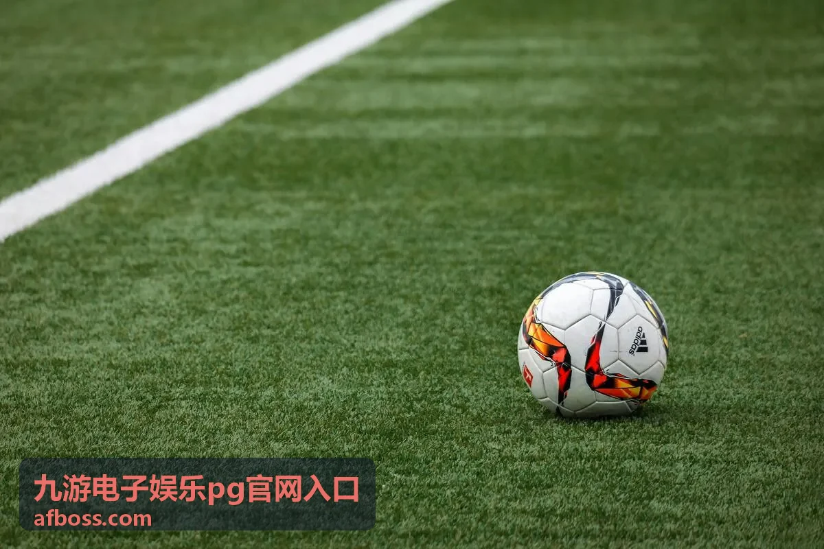 九游电子娱乐PG官网入口活动参与流程说明图